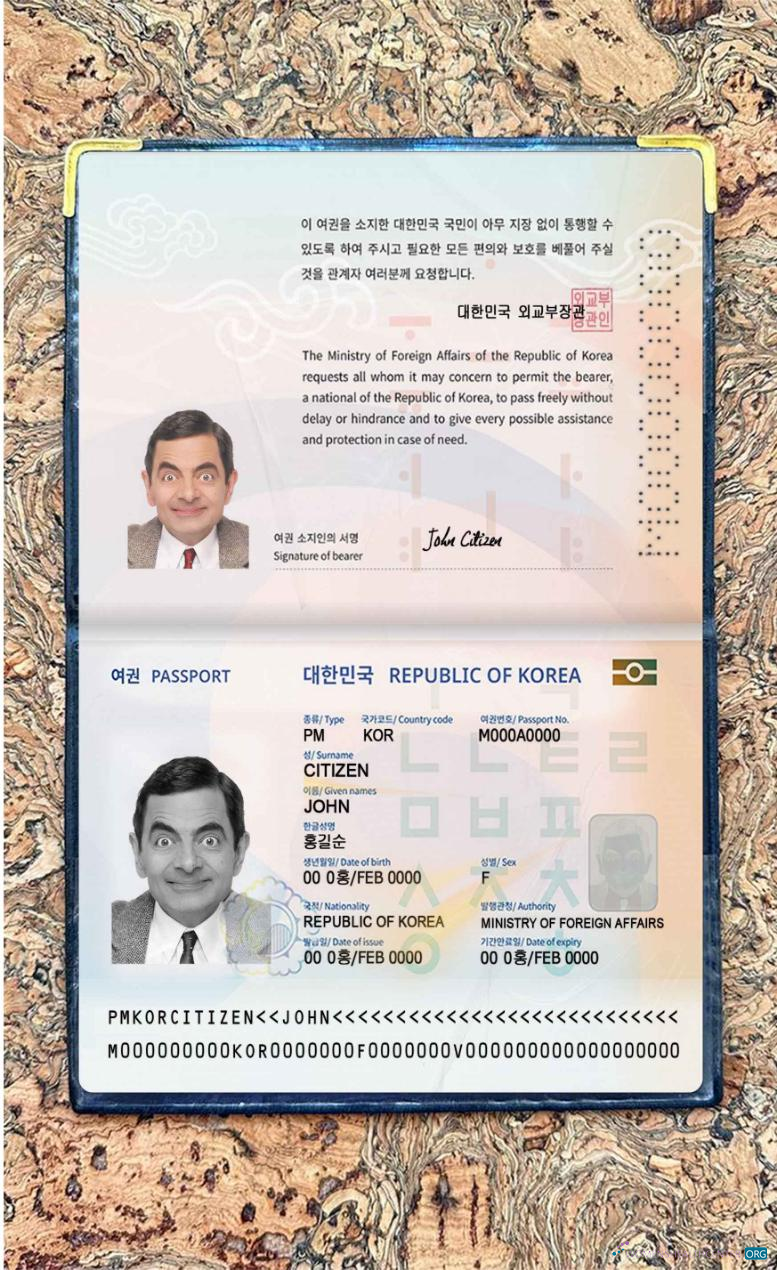 Download Korea passport (2021 present) photo look Photoshop template